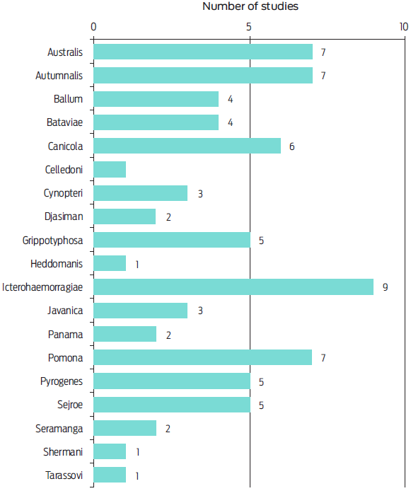 Number of studies describing seropositivity to specific Leptospira serogroups.