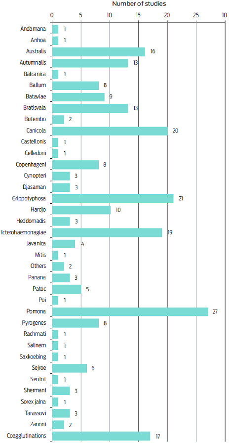 Number of studies describing seropositivity to specific Leptospira serovars.