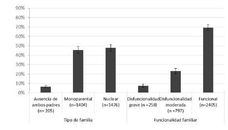 Descripci&oacute;n del tipo de familia y funcionalidad familiar