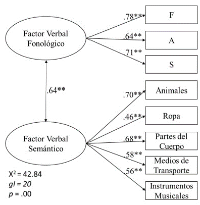 Modelo 2 de dos factores latentes de fluencia verbal fonol&oacute;gica y sem&aacute;ntica