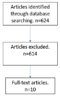 Diagram about the articles search strategy.