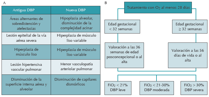 A) Datos histopatológicos que
distinguen la antigua de la nueva displasia broncopulmonar. B) Actual
definición y clasificación operativa de la displasia broncopulmonar. DBP:
displasia broncopulmonar.