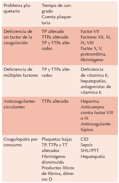 Algoritmo
para el estudio del paciente con hemorragia