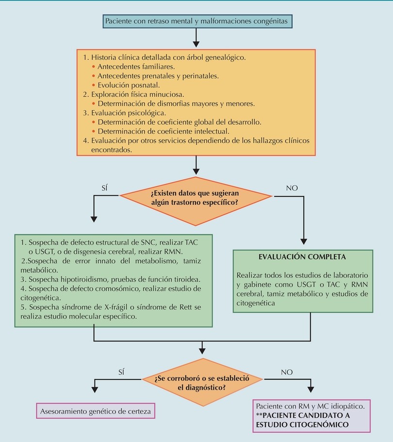 Algoritmo del abordaje de pacientes con DI y MC.
