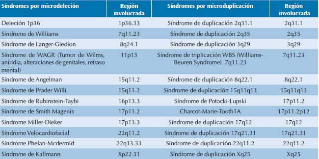S&iacute;ndromes por microdeleci&oacute;n y por microduplicaci&oacute;n