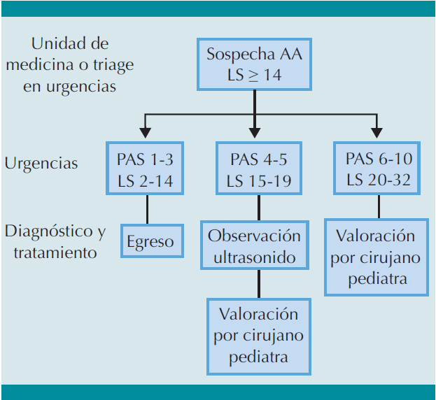 Propuesta de algoritmo para la evaluaci&oacute;n de ni&ntilde;os con sospecha de apendicitis aguda. (AA) apendicitis aguda, (PAS) score pedi&aacute;trico de apendicitis, (LS) puntaje de Lintula.