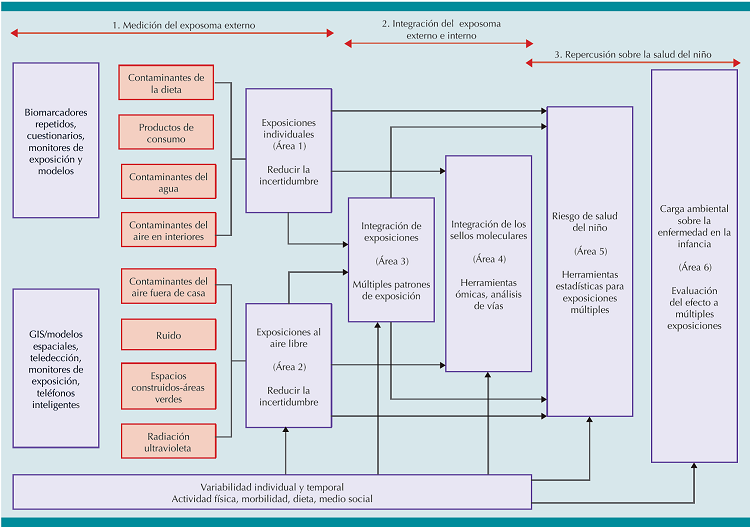 Marco conceptual e interacciones entre las &aacute;reas de investigaci&oacute;n del
							estudio HELIX.