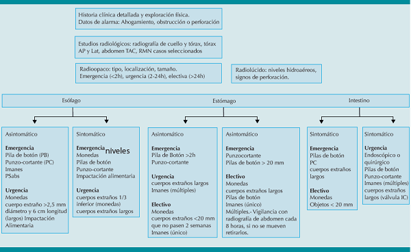 Algoritmo de manejo cuerpos extra&ntilde;os en la v&iacute;a digestiva.