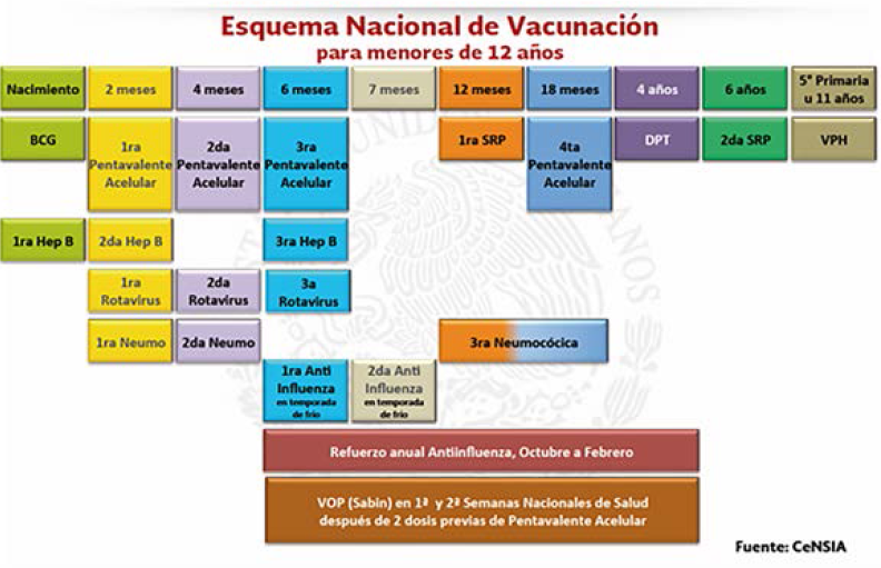 Cartilla Nacional de Vacunacin.
