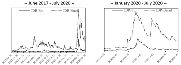 The Idiosyncratic Risk of the Brazilian Market and the Emerging Markets