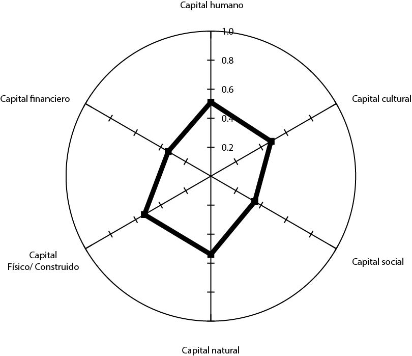 Telaraña de la suma de frecuencias de los siete capitales.
				
				
					