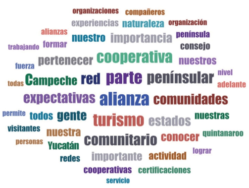 Nube de palabras recurrentes en los entrevistados de la
								APTC.