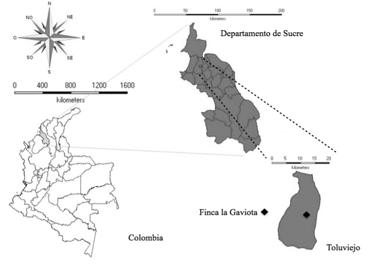 Ubicación
geográfica del área de estudio (Finca la Gaviota) en el municipio de Toluviejo,
departamento de Sucre, Colombia