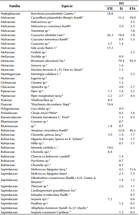Índice de Valor
de importancia (IVI) de las especies reportadas en el remanente de bs-T ubicado en ToluviejoColombia