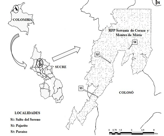 Mapa
de ubicación del área de estudio; localidad de Paraíso, Pajarito y Salto el
Sereno, Colosó (Sucre, Colombia)