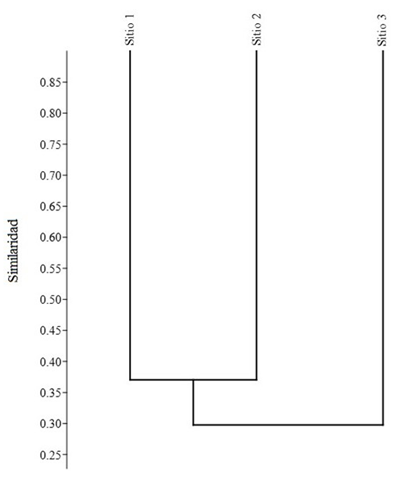 Agrupamiento de similitud de Jaccard para los sitios de muestreos