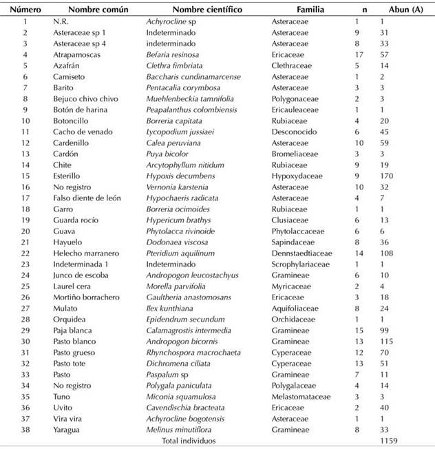 Especies de la regeneración natural en el afloramiento rocoso