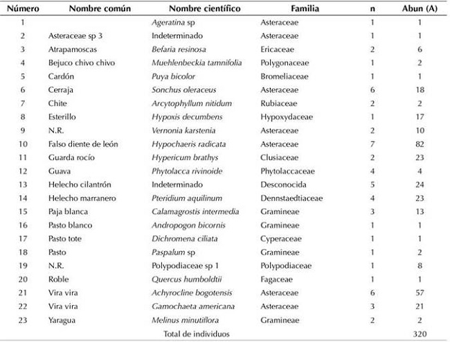 Especies de la regeneración natural en el robledal