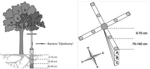 Detalle del muestreo en campo