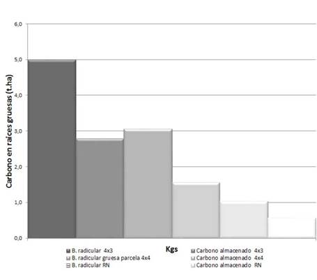 Biomasa y C almacenado total en raíces gruesas a tres profundidades de muestreo, en un sistema silvopastoril de pastura en callejones a dos distancias de siembra (4x4 y 4x3) y en regeneración natural.