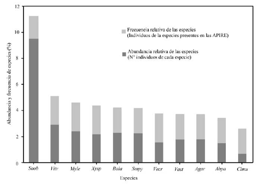 Porcentaje de abundancia de las especies en los procesos de restauración realizados por el Jardín Botánico de Bogotá entre el año 2012 y 2015, Agar (A. aristei), Abpa (A. parviflora), Bala (B. latifolia), Clmu (C. multiflora), Myle (M. leucoxyla), Smpy (S.pyramidalis), Soob (S.oblongifolium), Vast (V. stipularis), Vecr (V. crassiramea), Vitr (V.triphyllum) y Xysp (X. spiculifera).