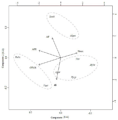 Análisis de componentes principales, Agar (A. aristei), Abpa (A. parviflora), Bala (B. latifolia), Myle (M. leucoxyla), Soob (5. oblongifolium), Vast (V. stipularis), Vitr (V. triphyllum) y Xysp (X. spiculifera). dB (densidad básica de la madera), AF (área foliar), AFE (Área foliar especifica), CFMS (contenido foliar de materia seca), Hmax (altura máxima de las especies).