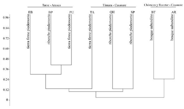 Dendrograma de similitud florística entre bosques subandinos y de piedemonte de la vertiente orinoquense de la Cordillera Oriental de los Andes en Colombia, considernado datos de abundancia (índice de Bray-Curtis).