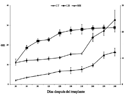 Longitud de tallo (LT), longitud de raíz (LR) y número de hojas (NH) de plántulas de D. guianense 300 días después del trasplante. Las barras verticales señalan el error estándar de cada media y cuando no son visibles indica que son más pequeñas que el marcador correspondiente.