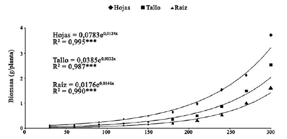 Acumulación de biomasa en hojas, tallo y raíz de D. guianense 300 días después del trasplante; n=100. *** P < 0.001.