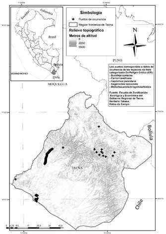 Mapa de localización estratégica del departamento de Tacna en Sudamérica y de distribución de las coordenadas geográficas en las que fueron reportadas las especies de flora categorizada (CR) evaluadas al interior del área de estudio
