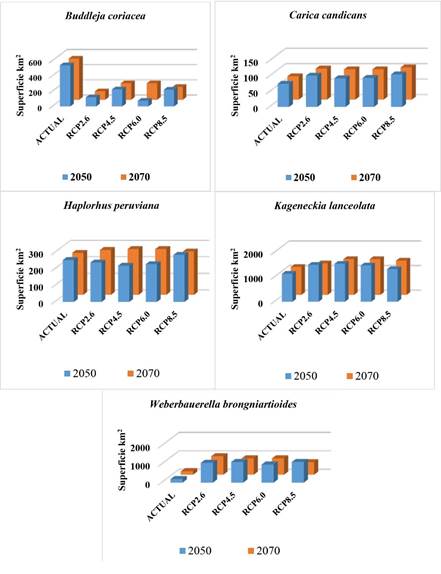 Gráficos de barras que muestran las tendencias en los cambios de la distribución actual de los nichos ecológicos de las especies categorizadas CR del departamento de Tacna en los escenarios RCP2.6, RCP4.5, RCP6.0 y RCP8.5 proyectados al 2050 y 2070 con MaxEnt.
