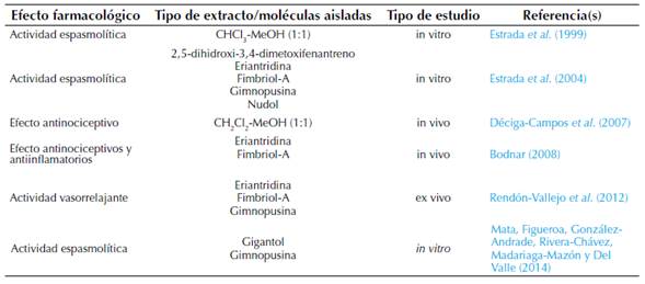 Información sobre los efectos farmacológicos de la especie M. densa