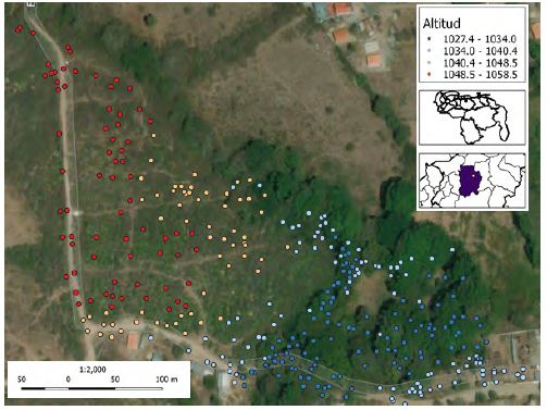 Distribución espacial de las 339 muestras levantadas.