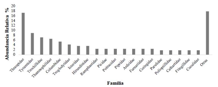 Abundancia relativa de especies de aves por familia, para los alrededores y en CFT Pedro Antonio Pineda, Bajo Calima.