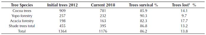 Current number of trees found in the clonal garden of the cocoa agroforestry system in the Experimental Farm of Barcelona, calculated from the grid found in the field at 2017