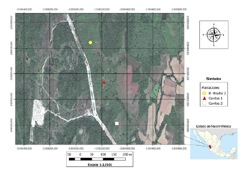 Geolocalización de las plantaciones comerciales de teca (PCT) en el municipio de Ruiz, estado de Nayarit, México.