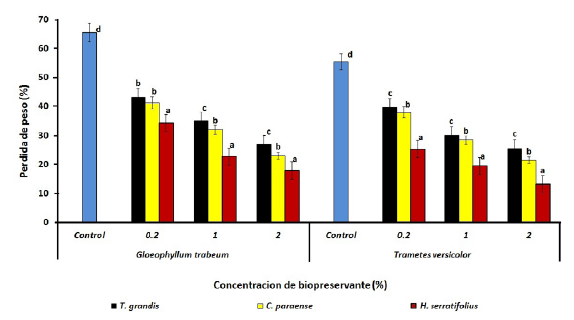 Pérdida de peso de bloques de P.caribaea tratados con el extracto etanólico de diferentes especies y expuestos a T. versicolor y G. trabeum. Barras con diferentes letras difieren significativamente (p < 0.05). Para cada concentración extracto/hongo n=12.