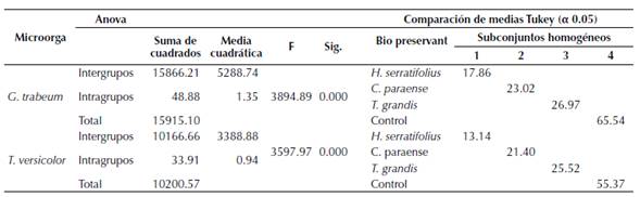 Análisis de varianza y comparación de medias de la pérdida de peso entre tratamientos 2 % de concentración sobre la madera de P. caribae, frente a G. trabeum y T. versicolor.