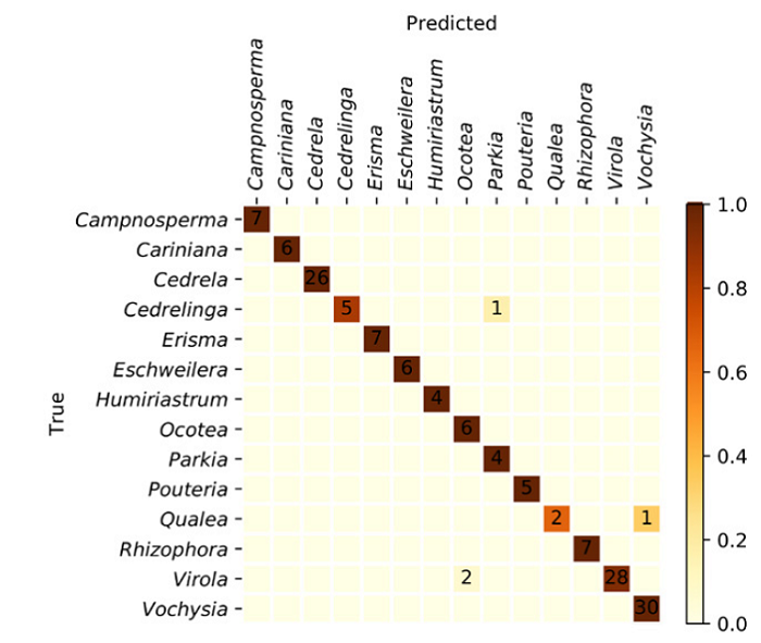 Specimen confusion matrix for the XyloTron wood identification model of 14 Colombian timbers. Overall accuracy was 97.3%. Four specimens were misclassified within three different class-pairs