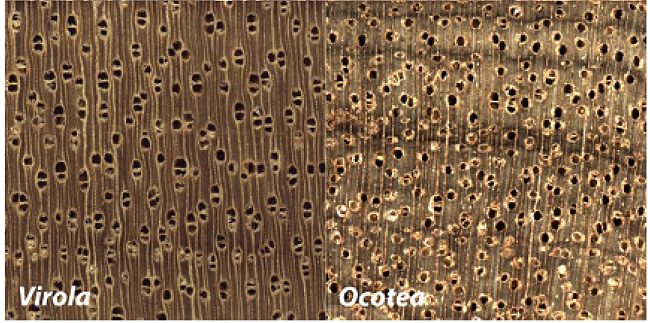 XyloTron images of the pair (top, middle and bottom) of true class (left) and predicted class (right) for each of the three class-pair misidentifications in the model. 