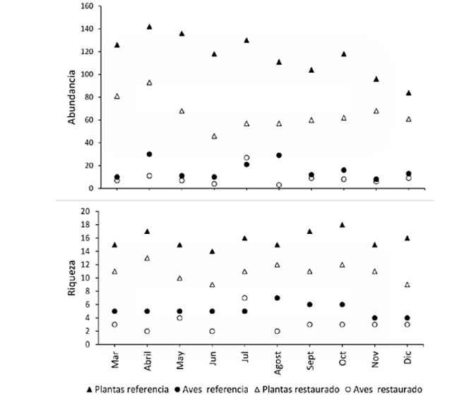 Abundancia y riqueza de aves frug&iacute;voras y plantas ornit&oacute;coras en fruto entre marzo y diciembre de 2018 en un bosque un bosque andino restaurado y el de referencia del parque ecol&oacute;gico La Poma, Cundinamarca.