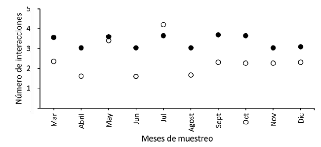 N&uacute;mero de interacciones mensuales de la red del bosque andino restaurado (circulo blanco) y de referencia (c&iacute;rculo negro), en el parque ecol&oacute;gico La Poma, Cundinamarca, donde se muestra en n&uacute;mero de interacciones entre plantas ornit&oacute;coras y aves frug&iacute;voras en cada lugar.
