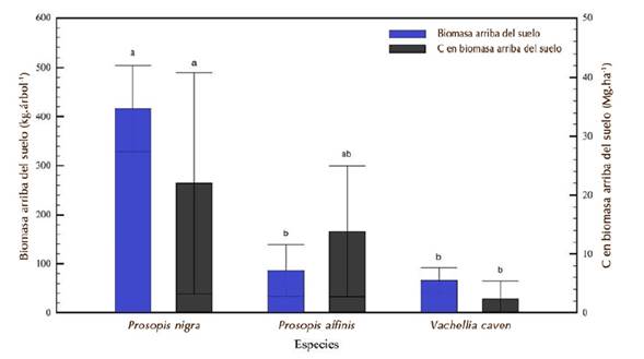 Biomasa aérea por especie y carbono almacenado en la biomasa arbórea por hectárea en bosques nativos de la Aldea Santa María (Espinal, Distrito del Ñandubay, Entre Ríos, Argentina). Letras diferentes indican diferencias significativas entre especies (Test LSD, P < 0.05). Las barras de error indican error estándar.