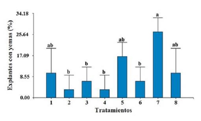 Efecto de las dosis y la combinación de fitohormonas sobre el porcentaje de explante con yemas en los segmentos de hojas y entrenudos.