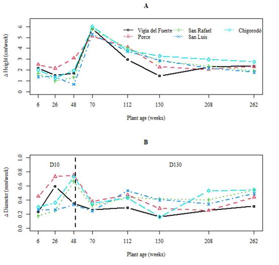 Weekly growth in plant height (A) and stem diameter (B) for the five accessions of Genipa americana. D10: Stem diameter at 0.10 m from the ground until week 48. D130: Stem diameter at 1.30 m from the ground between 48 and 262 weeks.
