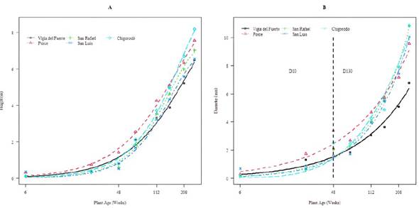 Weibull growth curves adjusted to the growth of five accessions of Genipa americana. A) Plant height and B. Stem diameter at breast height (DBH).