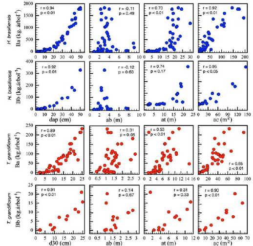 Correlación entre la biomasa aérea (Ba ) y subterránea (Bb ) y el diámetro del tronco (DAP: diámetro a la altura del pecho; D30: diámetro a 30 cm de altura), la altura a la base de la copa (AB), la altura total (AT) y el área de la copa (AC) en Hevea brasiliensis y Theobroma grandiflorum en el departamento del Caquetá, Colombia.