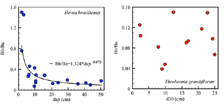 Relación entre el diámetro del tronco (a la altura del pecho, DAP, y a 30 cm de altura, D30) y la relación biomasa subterránea/biomasa aérea (Bb /Ba ) en árboles individuales de Hevea brasiliensis y Theobroma grandiflorum en el departamento del Caquetá, Colombia.
