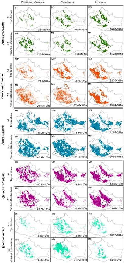 Áreas de distribución potencial de Pinus ayacahuite (verde), Pinus montezumae (naranja), Pinus oocarpa (azul), Quercus calophylla (rosa) y Quercus uxoris (turquesa). Se muestra la superficie potencial en hectáreas (ha) y el modelo con mejor desempeño por especie (*).