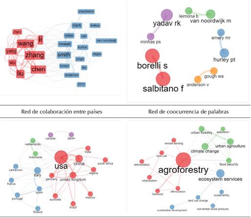 Redes de colaboración, citación y ocurrencia de palabras